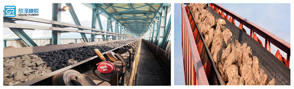 1589338394981554.jpg 1-1Z12QH301M3.jpg