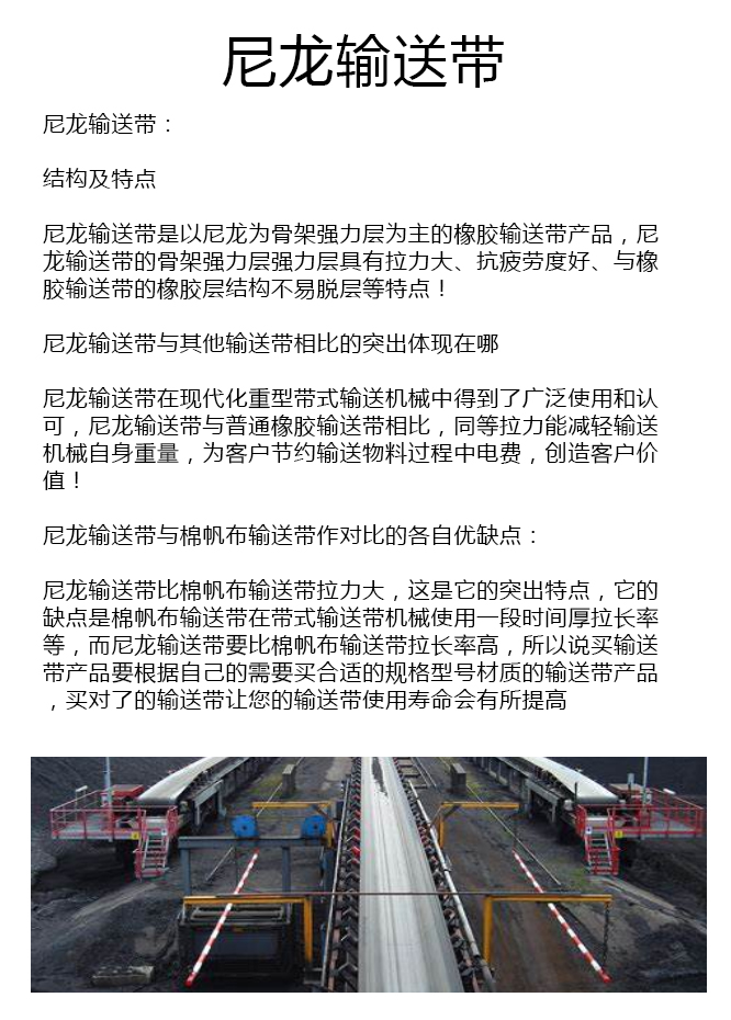 尼龙200型输送带厂家 尼龙200型输送带厂家